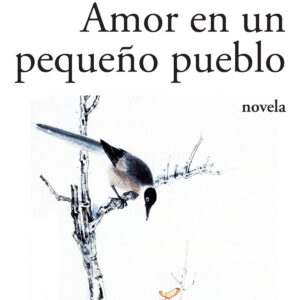 11.AMOR EN UN PUEBLO PEQUEÑO