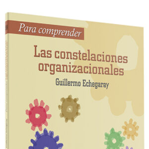 Para comprender las constelaciones organizacionales