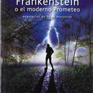 Frankenstein o el moderno Prometeo