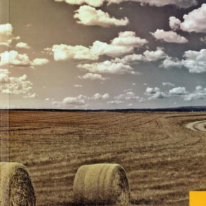 Nunca te fíes de un policía