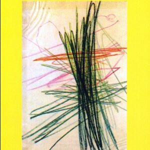 Los tres primeros años del niño:andar, hablar, pensar