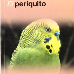 Periquito