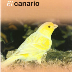 El canario