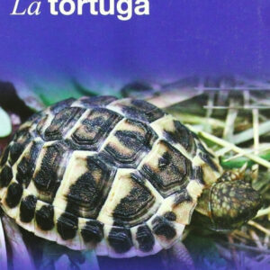 Tortuga