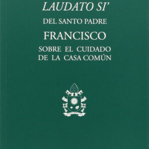 Carta encíclica Laudatio Si