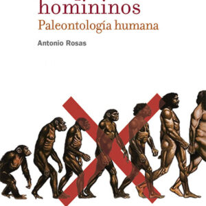 Los primeros homininos