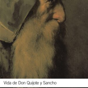 Vida de Don Quijote y Sancho