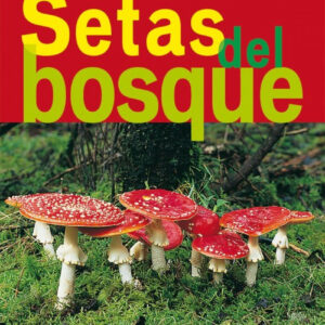 Setas del bosque