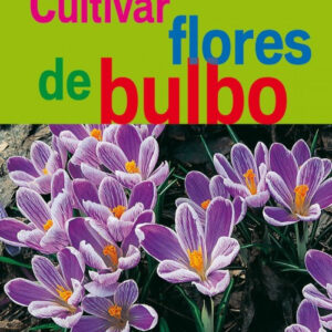 Cultivar flores de bulbo