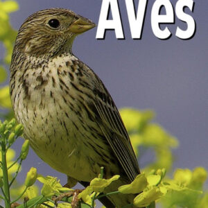 Observar las aves
