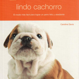 Lindo cachorro