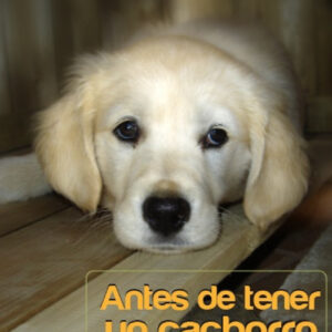 ANTES DE TENER UN CACHORRO