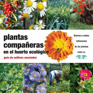 Plantas compañeras del huerto