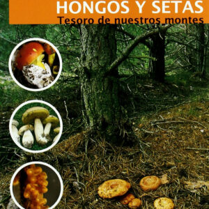 Hongos y setas: tesoro de nuestros montes