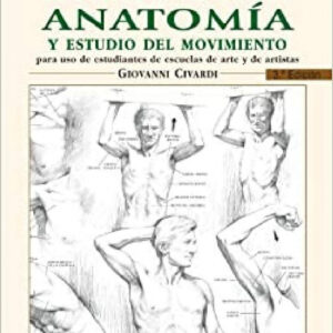 Dibujo de la anatomia y estudio del movimiento