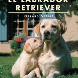 El labrador retriever