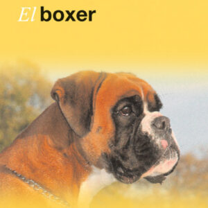 El boxer