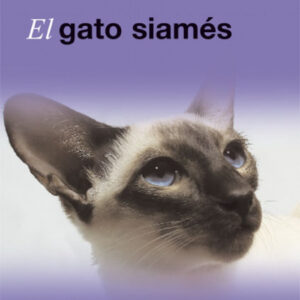 El gato siamés