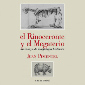 El rinoceronte y el megaterio