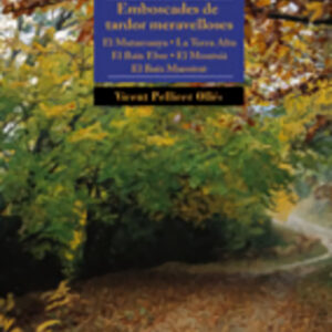 Caminades pel massís del Port (2a edició)