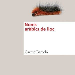 Noms aràbics de lloc
