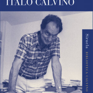 Punto y aparte: ensayos sobre literatura y sociedad