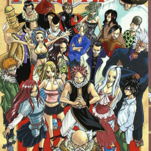 FAIRY TAIL 6
