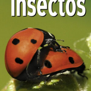 Observar los insectos (Guías de bolsillo)
