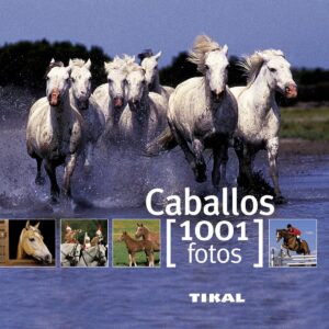 Caballos