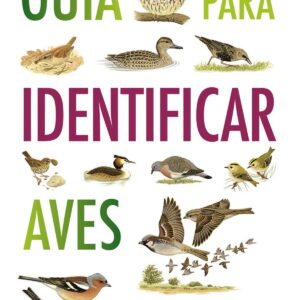 Guía para identificar aves