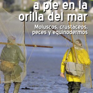 Pesca a pie en la orilla del mar. Moluscos, crustáceos, peces y equinodermos
