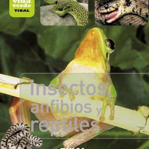 Insectos, anfibios y reptiles