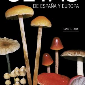 Setas de España y Europa