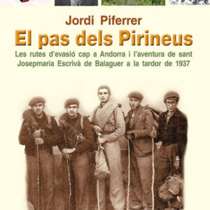El pas dels pirineus