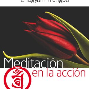 Meditación en la acción