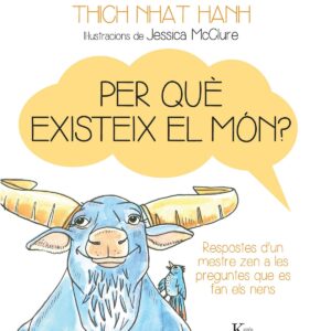 Per què existeix el món?