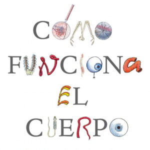 Cómo funciona el cuerpo