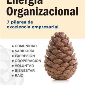 Energia Organizacional
