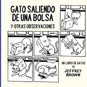 Gato Saliendo De Una Bolsa