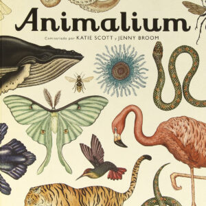 Animalium.