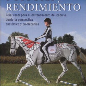 Postura y rendimiento