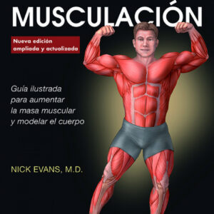 ANATOMÍA DE LA MUSCULACIÓN