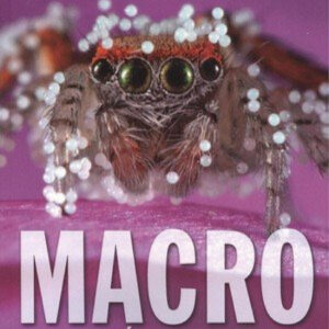 Macro fotografía de naturaleza