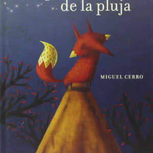 Després de la pluja