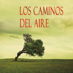 LOS CAMINOS DEL AIRE