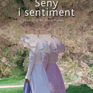 SENY I SENTIMENT