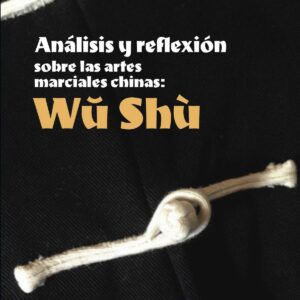 Análisis y reflexión sobre las artes marciales chinas