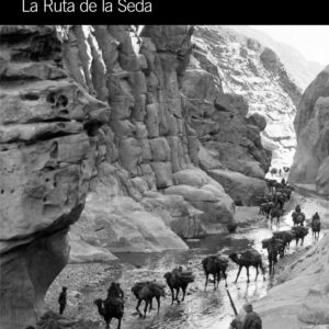 La ruta de la seda