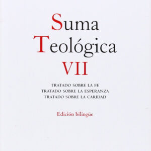 Suma Teológica VII