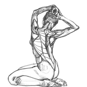 Anatomía artística